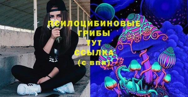 тгк Хадыженск