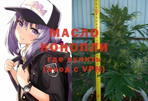 хмурый Аркадак