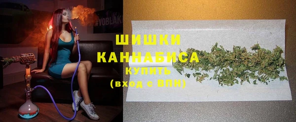 хмурый Аркадак
