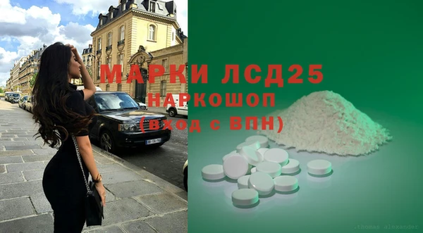 хмурый Мегион
