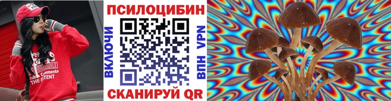 Галлюциногенные грибы мицелий  Гдов 